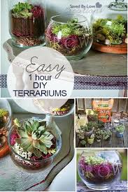 53 Diy Terrarium Ideas That Will Blow Your Mind Away Diy Succulent Terrarium Terrarium Diy Succulents Diy