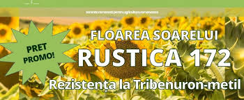 Infinitele plaje cu nisip auriu, munți verzi și misterioși, pământuri bogate, plantații de trandafiri, floarea soarelui și vita de vie, orașe și mănăstiri vechi, izvoare minerale pentru tratament, fac aceasta țară nemaipomenita. Floarea Soarelui Rustica 172 Semintefundulea