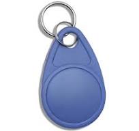 Access Control LF HF RFID Key Tag