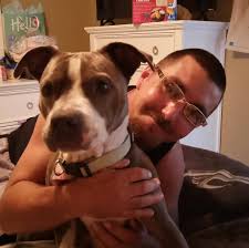 Lost pitbull in Corpus Christi area