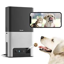 Best pet cameras and monitors 2021(always keep an eye on your pets). The 7 Best Pet Cameras Of 2021