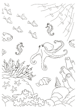 Coloring pages for kids seashells unique. Ausmalbilder Fur Kinder Mit Unterwasser Szenen