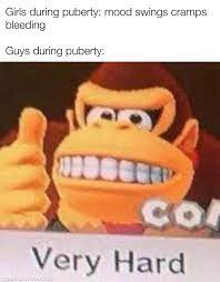 Why Tf My Pp Hard R Memes