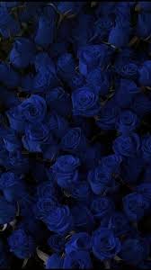 Rosesblue Blue Flower Wallpaper Blue Roses Wallpaper Flower Iphone Wallpaper