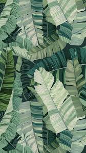 Digital Artist Tropical Creation Leaf Wallpaper Tropical Wallpaper Mural Wallpaper
