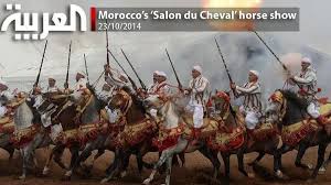 # salon du cheval de paris 2014. Morocco S Salon Du Cheval Horse Show Al Arabiya English
