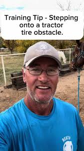 Training Tip Tuesday! 4 feet onto the tractor tire. Today, my horse in  training is Governor, and I’m working