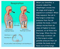 Air Pressure And Altitude | Ck-12 Foundation