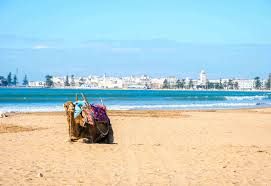 Casablanca is het economische en culturele centrum van marokko, een drukke, moderne wereldstad, die in de toekomst meer en meer toeristen hoopt te trekken. Die Schonsten Strande In Marokko Strandurlaub Marokko Weg De