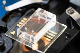 AI Learns to Predict Breast Cancer Risk from How Single Cells Respond to Pressure