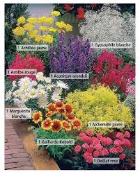 La plante se dessèche à l'automne et au printemps les une bonne sélection plantes vivaces peut donner un effet bon effet. 21 Idees De Plante Bande Idees Jardin Jardins Jardinage