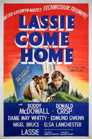 Lassie come home, in which shawn and gus are back together because lassie is seeing. Lassie Come Home Where To Watch And Stream Tv Guide
