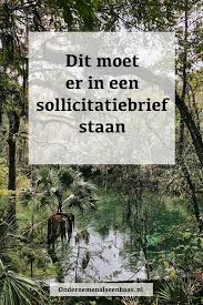150 Ideeen Over Solliciteren Sollicitatie Cv Tips Sollicitatiegesprek Tips