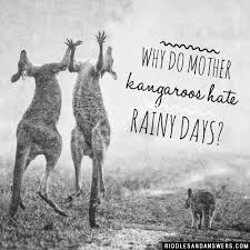 Mother Kangaroo Riddle