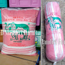 Ketemu di leher seperti telur cicak kecil lalu periksa ke dokter, jelas dia. Jual Bantal Guling Set Kapuk Asli Cap Gajah Padat Tebal Di Lapak Ud Mandiri Furniture Bukalapak