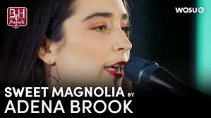 Storm King by Adena Brook