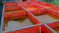 Kolam terpal adalah terobosan baru dari perkembangan teknologi di bidang pembudidayaan ikan baik ikan air tawar maupun air asin. 7 Ide Kolam Terpal Terpal Kolam Kolam Ikan