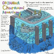 Okinawa Churaumi Aquarium Image Aquarium Okinawa Large Tanks