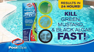 Kill And Prevent Unsightly Green Mustard And Black Algae Clorox Pool Spa Youtube