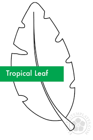 Unfold the construction paper to see your finished palm leaf. Tropical Leaf Flowers Templates
