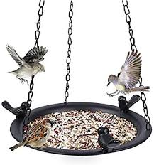 Bird Feeders For Small Birds Amazon Amazon Com Kimdio Bird Feeder Hanging Tray Seed Tray For Bird Feeders Bird Bath Outdo In 2020 Hanging Bird Feeders Humming Bird Feeders