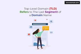 Make Absolute Internet Presence With A Fully Qualified Domain Name Temok Hosting Blog Domain Hosting Top Level Domain
