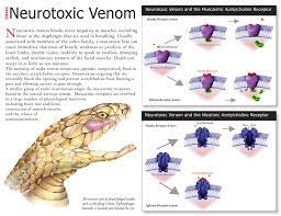 Neurotoxic Venom By Wyrdgrendel On Deviantart