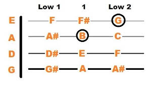 5 Fiddle Chords For Beginners To Start With Stringvibe