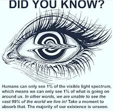 Is This True Did You Know Science Facts Visible Light Spectrum