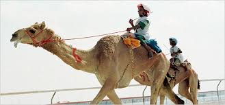 My librarian is a camel book. Class Action Firms Extend Reach To Global Rights Cases The New York Times