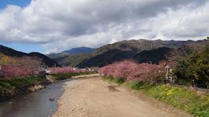 Последние твиты от 夏色まつり🏮2nd (@7216_2nd). ä¼Šè±† æ²³æ´¥æ¡œã®é–‹èŠ±æƒ…å ± èŠ±è¦‹ç‰¹é›†2021