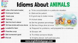 Pin On Idioms In English
