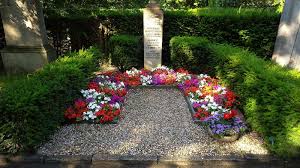 Was Soll Ich Als Grabbepflanzung Benutzen Herbst Winter Schonegraber Fruhling Bodendecker Kies Blumen Pflanze Grabbepflanzung Bepflanzung Mittagsblume