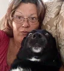 Cane toad poisoning found at Knuckey Lagoon