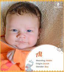 Al Name Meaning, Origin, History, And Popularity