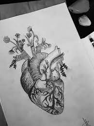The beginners guide to growing potted trees. Human Heart With Growing Flowers Sketched By Me Drawing