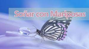 Https Www Xn Soar Con E3a Info Mariposas