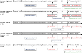 Clinical Protocol Flow Chart Describing The 5 Patient