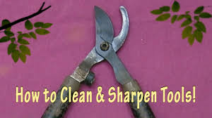 Mill file approximately 10 inches in length and made of metal to file or sharpen the gardening scissors. Hey Maaa