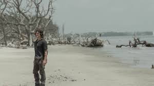 Wann erscheinen mit staffel 11 die letzten folgen von the walking dead? The Walking Dead Staffel 11 Das Musst Ihr Zum Grossen Serienfinale Wissen Netzwelt