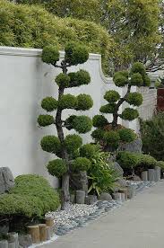 Pin On Garden
