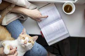 Cats are loving and loyal animals, even if many people believe them to be quite independent animals.cats are very intelligent, and it won't take them more than 5 to 10 days to understand and internalize their new name. Purrfect Literary Cat Names For Your Feline Friend Cole Marmalade