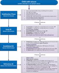Image result for Status Epilepticus