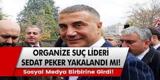 Sedat peker ile ilgili birçok şey yazılıyor, çiziliyor. R8psrg8umweqem