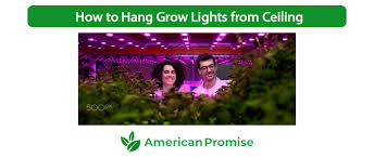 So make sure that the plants get the required amount of light to grow organically. How To Hang Grow Lights From Ceiling Explained In 6 Steps American Promise