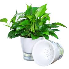 Check spelling or type a new query. Transparent Indoor Outdoor Self Watering Planter Flowet Pot Buy Transparent Indoor Outdoor Self Watering Planter Flowet Pot Product On Alibaba Com