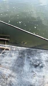 Image result for tbn:ANd9GcRoCp1T93Ea5VeUITOmwSbNNr11RDyBJ02MDSiYUnQ4GKU4jtq5eIPH4O8