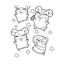 Baby guinea pigs baby pigs baby bunnies. Top 25 Free Printable Hamster Coloring Pages Online