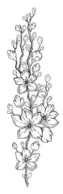 Ils offrent une note florale et fruitée originale aux amateurs de saveurs subtiles. Menu De La Saint Valentin 2021 A Emporter Restaurant Les Amandiers Proche De Marguerittes Les Amandiers