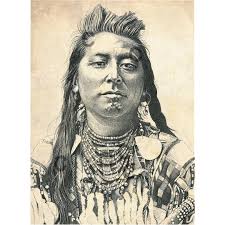 Plenty Coups Art Prints